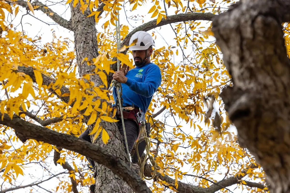 Skilled Storm Damage Cleanup crew working in Byron Center